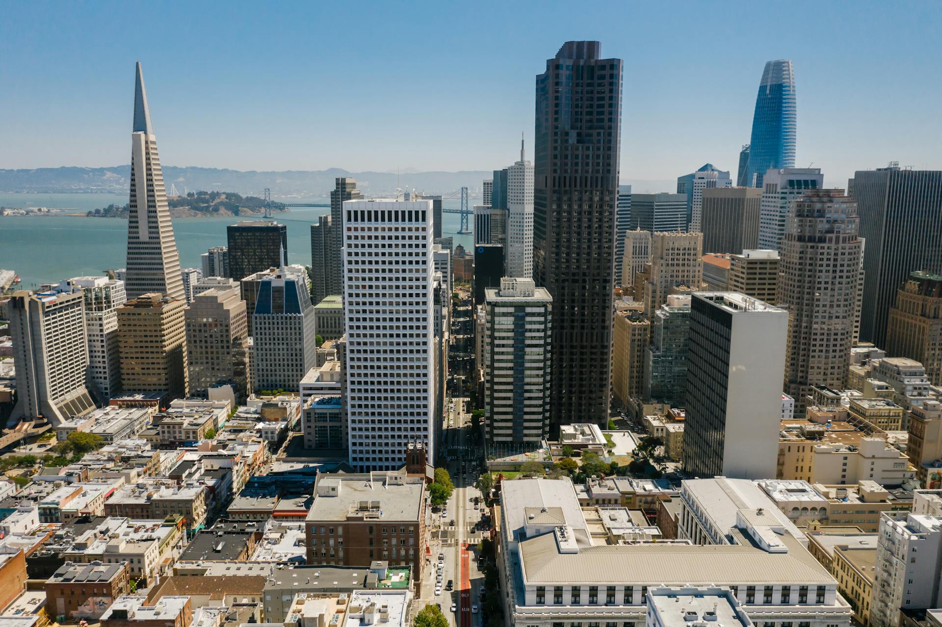 Silicon Valley & San Francisco Bay Area Region