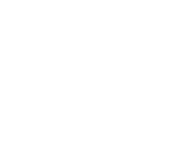 Fogo de Chão logo